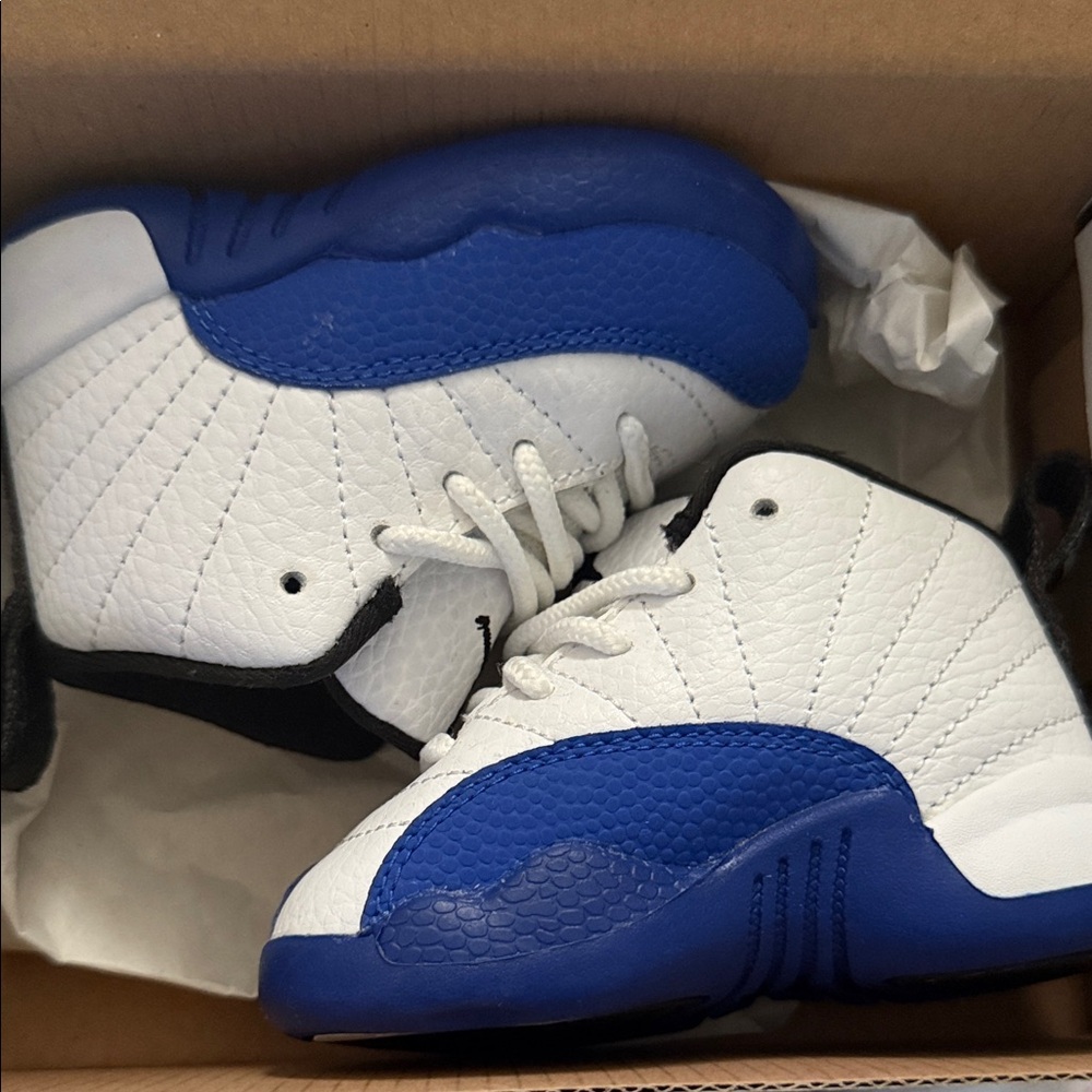 Jordan 12